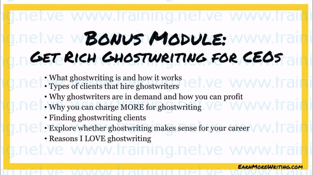 Earn More Writing Standard by Holly Johnson Free