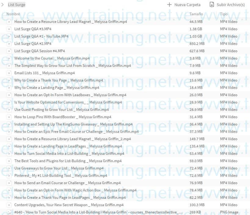 List Surge by Melyssa Griffin Torrent