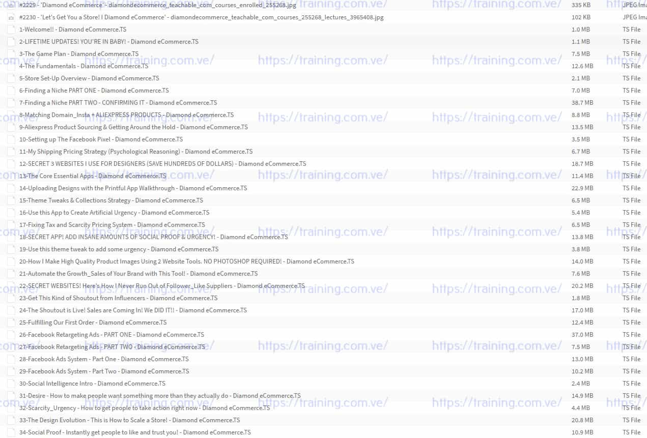 Diamond eCommerce _STEP BY STEP Shopify Success torrent Diamond eCommerce STEP BY STEP Shopify Success Torrent