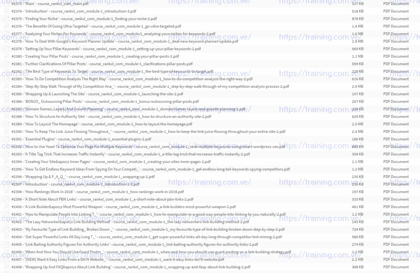 RankXL The Niche Site SEO Course v4.0 by Chris Lee torrent RankXL The Niche Site SEO Course v4.0 by Chris Lee Torrent