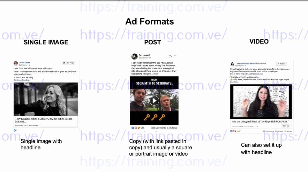 FATC - 3 NICHES 1 FATC Membership 3 NICHES by Cat Howell Discount