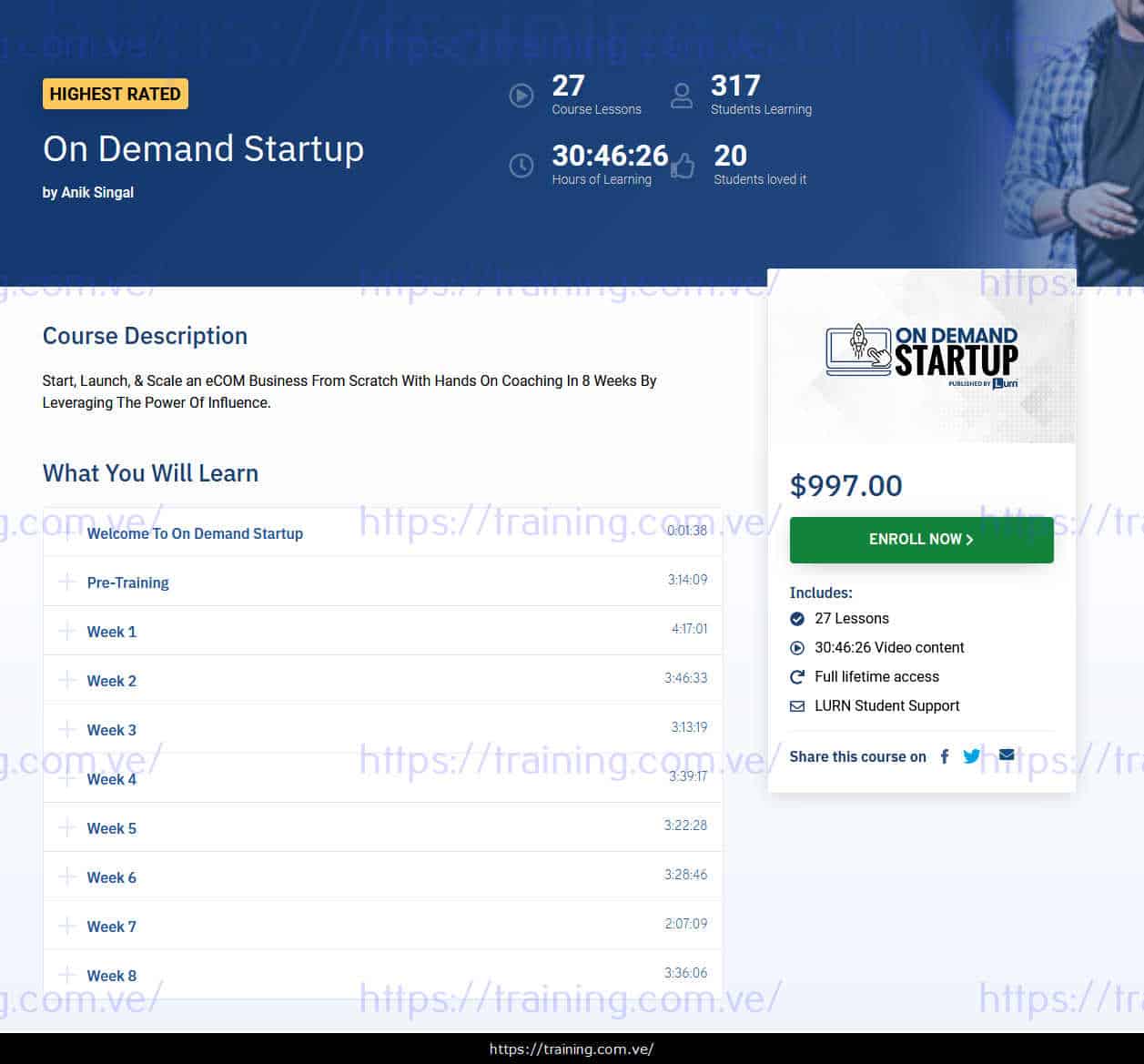 On Demand Startup by Anik Singal sales page