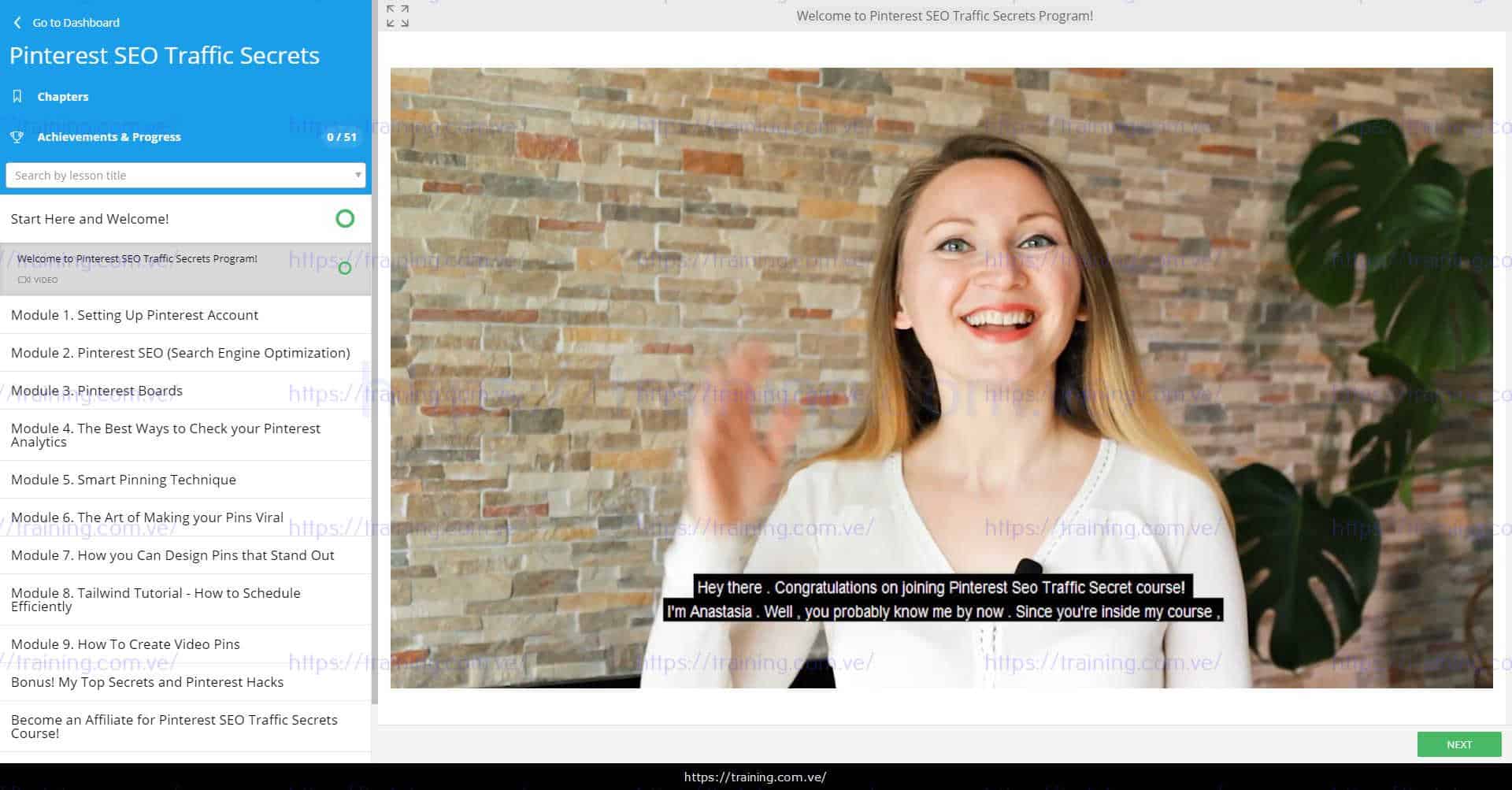 Pinterest SEO Traffic Secrets 2019 by Anastasia Blogger Download
