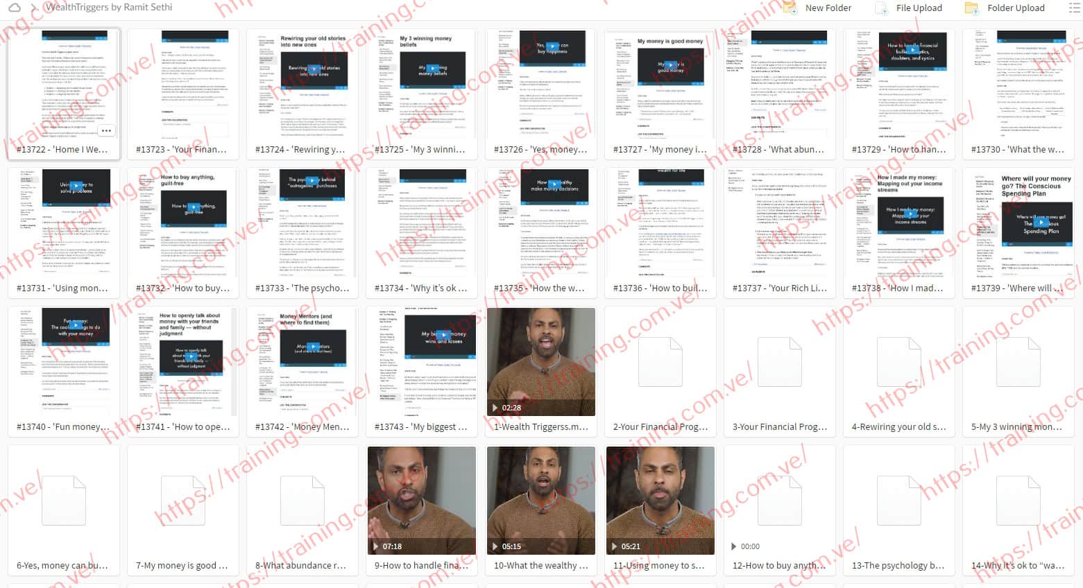 Wealth Triggers by Ramit Sethi download Wealth Triggers by Ramit Sethi Download
