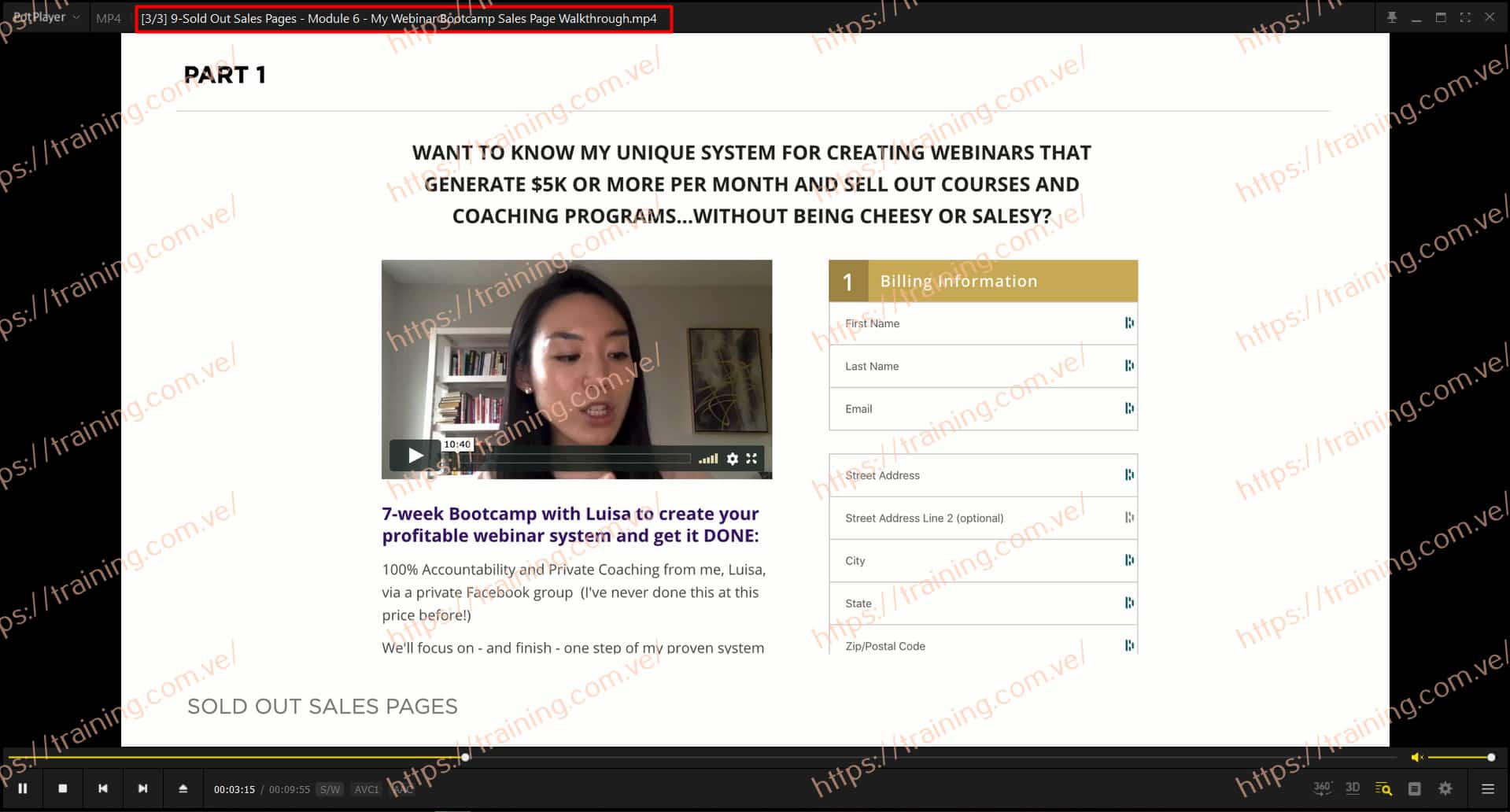 Sold Out Sales Page by Luisa Zhou Offer Sold Out Sales Page by Luisa Zhou Offer