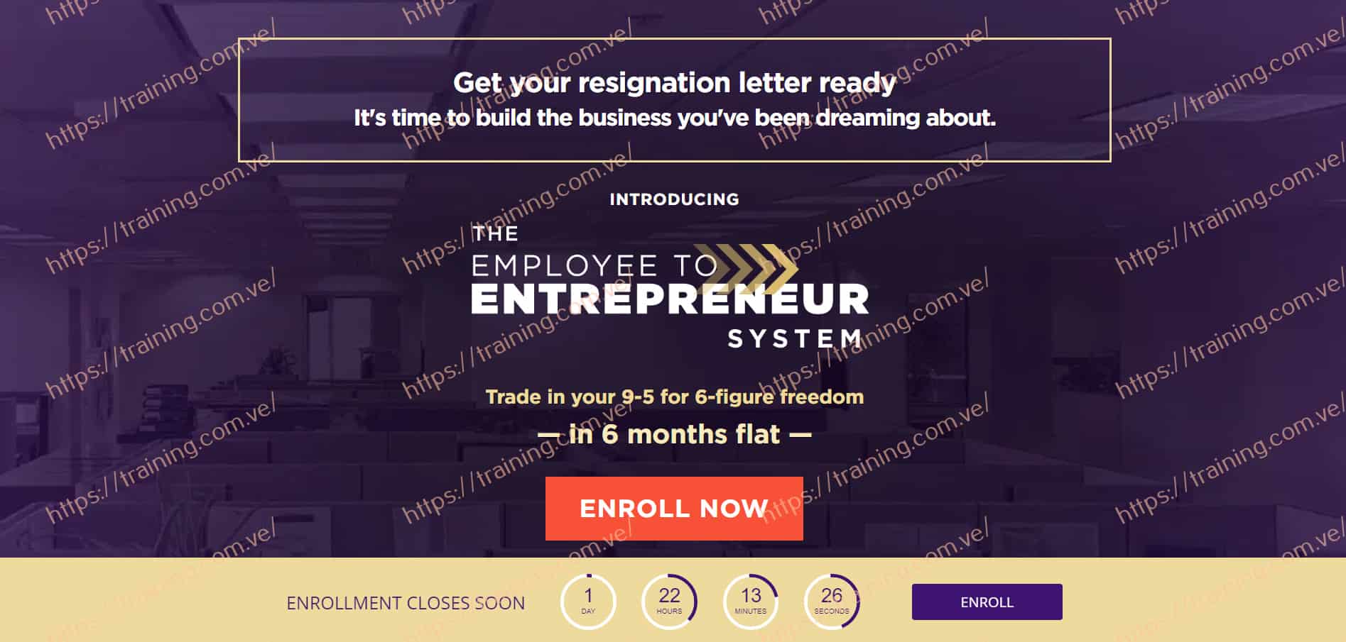 Employee to Entrepreneur 2020 by Luisa Zhou Sales page Employee to Entrepreneur 2020 by Luisa Zhou Sales Page