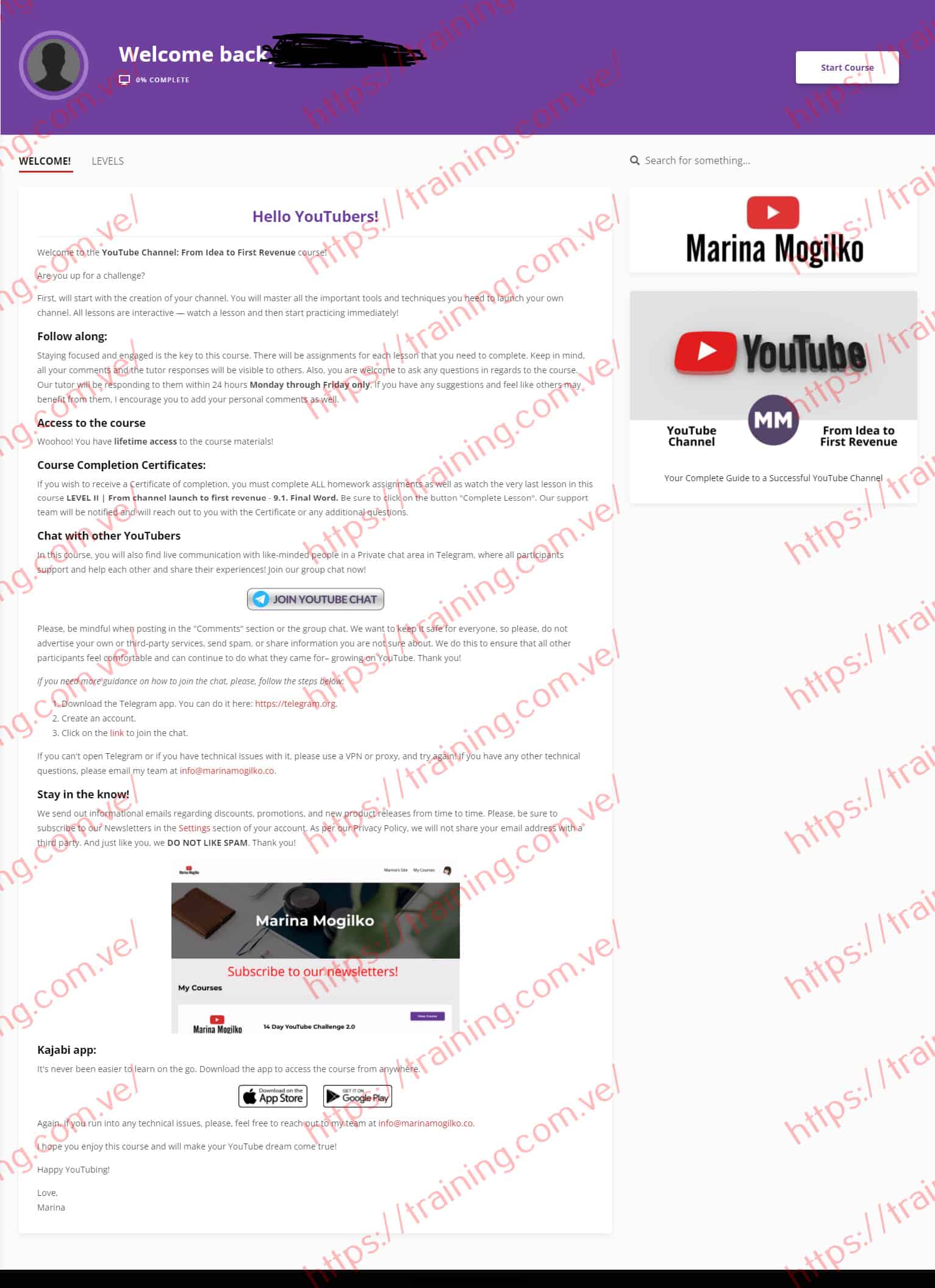 YouTube Channel From Idea to First Revenue by Marina Mogilko Download
